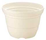 リッチェル カラーバリエ 輪鉢 6号 ホワイト