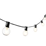 ガラスGlobe接続可能なプラグイン文字列lights-電球含ま 30 Feet-25 Light ブラック LC003456