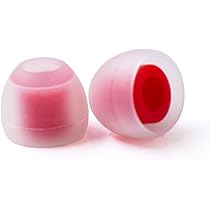 確認用イヤーピース 513NVXyrRpL._AC_UF350,