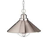 2713NI Seaside 1LT Exterior Hanging Pendant, Brushed Nickel Finish by Kichler Lighting [並行輸入品]