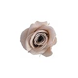 florever　フロールエバー　フレッシュルックスプレーローズ　ヌードピンク　8輪　Φ3.5～4.5cm　 プリザーブドフラワー　Spray Rose　Nude Pink