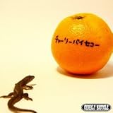�`���[���[�o�C�Z�R�[