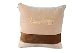Sunnyhome007 Multi-functional Foldable Soft Air Conditioning Blanket Throw Pillow 2 in 1 Amphibious