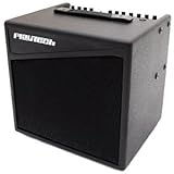 PLAYTECH アコースティックギターアンプ JAMMER AG