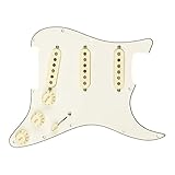 Fender ギターパーツ Pre-Wired Strat Pickguard, Custom Shop Fat 50's SSS, Parchment 11 Hole PG