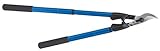 Dramm 18065 ColorPoint Telescoping Lopper, Blue [並行輸入品]