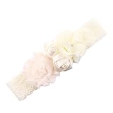 ShinewebベビーガールズキュートレースRose Budヘアバンドヘッドバンド US サイズ: Onesize