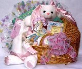 Gift Basket Village SpDe-Lg Special Delivery, Baby Gift Basket - Large