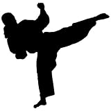 Martial Arts Wall Decal Sticker 30 - Decal Stickers and Mural for Kids Boys Girls Room and Bedroom. 