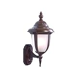 Alico Lighting 3521BW/FR Acclaim Lighting Burled Walnut Finished Outdoor Sconce with Frosted Seeded 