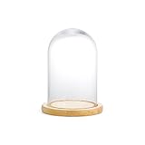 ガラスドーム S [JZ067]