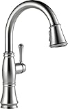 Delta Faucet 9197-AR-DST Cassidy, Single Handle Pull-Down Kitchen Faucet with Magnetic Docking, Arct