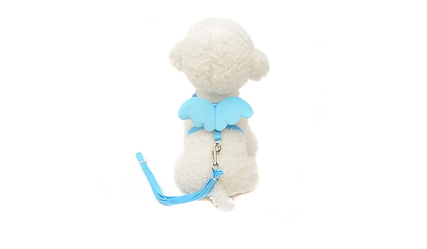 cute pet accessories