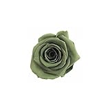 florever　フロールエバー　フレッシュルックメディアナローズ　グリーンティー　8輪　Φ4～5cm　 プリザーブドフラワー　Mediana Rose　Green Tea