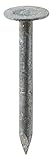 Grip Rite 1EGRFG 50 lb Electro Galvanized Roofing Nails, 1' [並行輸入品]