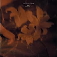 (未使用･未開封品)　madrigal of decadence(初回限定盤A) og8985z Amazon.co.jp: madrigal of decadence - 清春: ミュージック