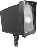 RAB Lighting EZSH150 High Pressure Sodium EZ Floodlight, ED17 Type, Aluminum, 150W Power, 16000 Lume