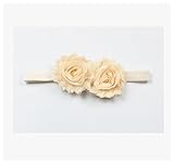 RaiFu ヘアバンド　赤ちゃんの女の子の髪2つの花の帽子