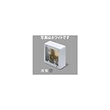 マサル工業 メタルモール付属品 2個スイッチボックス浅型 ホワイト AB3122