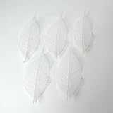 スケルトンリーフ（ミニ）ホワイト　5枚入り【ドライ】