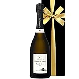 【お祝い ギフト お酒 ワイン ギフト】フランス シャンパン ギフト 白 デミリー・ド・ベーレ「ブラン・ド・ブラン・ブリュット」辛口 シャルドネ 750ml シャンパーニュ 高級 おしゃれ 上司 【ギフト】お祝い 誕生日 結婚祝い 内祝い 結婚記念日 プレゼント 熨斗 贈答用 贈り物