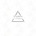 TryAgain (完全生産限定盤) (CD+DVD) (特典なし)