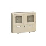 未来工業 電力量計ボックス 化粧ボックス 2個用 ベージュ WP-2WJ 配電資材 [並行輸入品]
