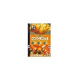 SUNBELLEX 君子蘭の土 14L×6袋