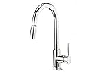 Blanco 441761 1.5 GPM Sonoma Faucet with Pull-Down Spray, Polished Chrome [並行輸入品]