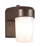 All-Pro FE13PC, 13W Fluorescent Entry Light With Photo Control, Bronze [並行輸入品]
