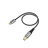 【国内正規品】FiiO USBケーブル LD-TC1 (Type-C to Type-Bケーブル) 【FIO-LD-TC1】
