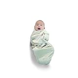 Journey Deluxe Embroidered Swaddle Wrap - Velour Lined by N/A [並行輸入品]