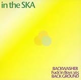 in the SKA