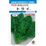 ホウレンソウ 種 トライ 1L