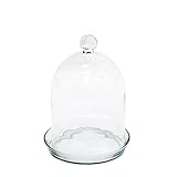 Achla BJT-01 Bell Jar Terrarium I - Glass