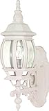Nuvo 60/885 Wall Lantern with Clear Beveled Panels White Small [並行輸入品]