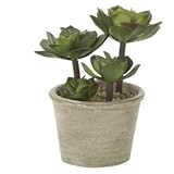 光触媒観葉植物 アガベポット テーブルタイプ光触媒 フェイクグリーン 御祝 内装 インテリア