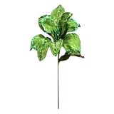 30 "ライムビーズMagnolia 11 " Flower