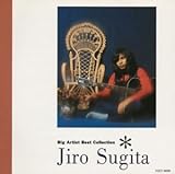 BIG ARTIST BEST COLLECTION ���c��Y