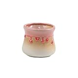 シンプルな多肉植物フラワーポットフローグレーズポットクリエイティブセラミックフラワーポット_A16