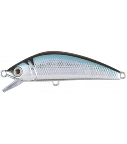 Amazon.co.jp: フォレスト iFish FT アイフィッシュ フィールド