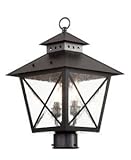 Transglobe Lighting 40173 BK Post Head with Seeded Clear Glass Shades, Black Finished by Transglobe 