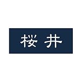 丸三タカギ 彫り込み済表札 アクリル APY1-N-1-1-桜井 【完成品】