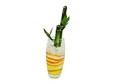 花市場直送便 ミリオンバンブー(カラーサンド植え) プチベースA 黄色/オレンジ