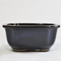 Amazon.co.jp: 盆栽妙 常滑焼 盆栽鉢 4号 モッコ青 幅13cm×高さ
