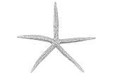 Urban Trends Collection 39905 4 Piece Washed Silver Polyresin Sea Star Figurine, 8.25 x 8.25 x 0.75 