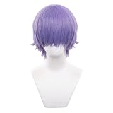 Akixen 万能ウィッグ かつら フルウィッグ メンズ レディー ショート ストレート パープル ウィッグ 男性用 女性用 耐熱性 コスプレ ヘアネット イベント ハロウイン 変装 仮装 お祭り 30