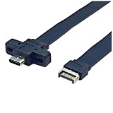 Roisin USB3.2 Gen2x2 ボーイン タイプE 端子 タイプC フロントC マザー 10G/20Gbps フラットワイヤー 30cm