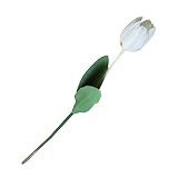 ギルロイ1pcラテックスリアルタッチ人工シルクチューリップの花ホームウェディングパーティー装飾 One Size PPAL121009AMNKI5234