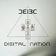 Digital Nation [12 inch Analog]
